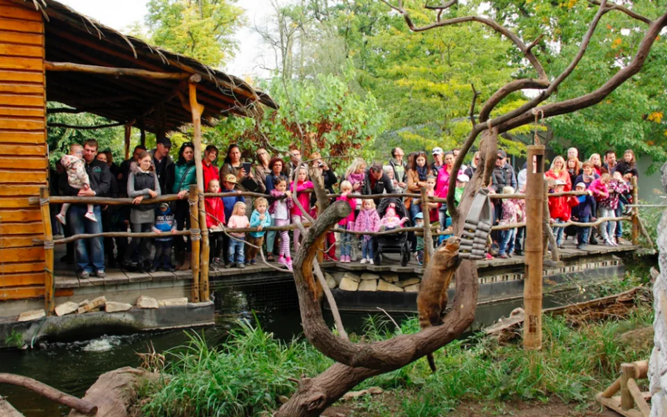 Zoo Hluboká oslaví Den zvířat, hlavním tématem bude ptactvo