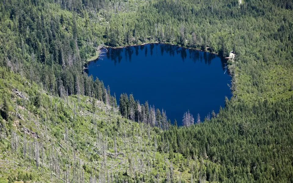 Prášilské jezero na Šumavě.