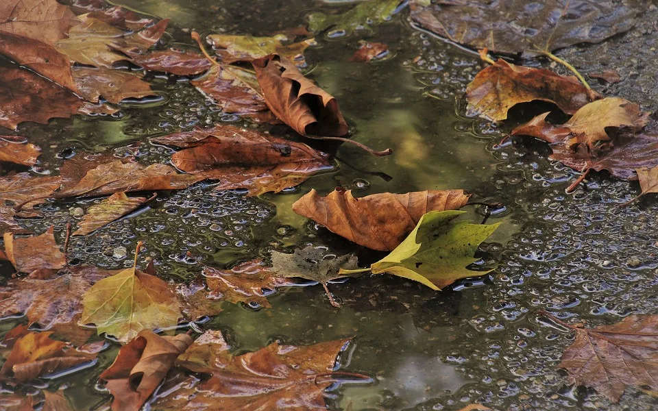 Ilustrační foto