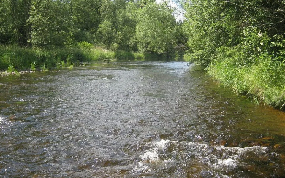 Teplá Vltava