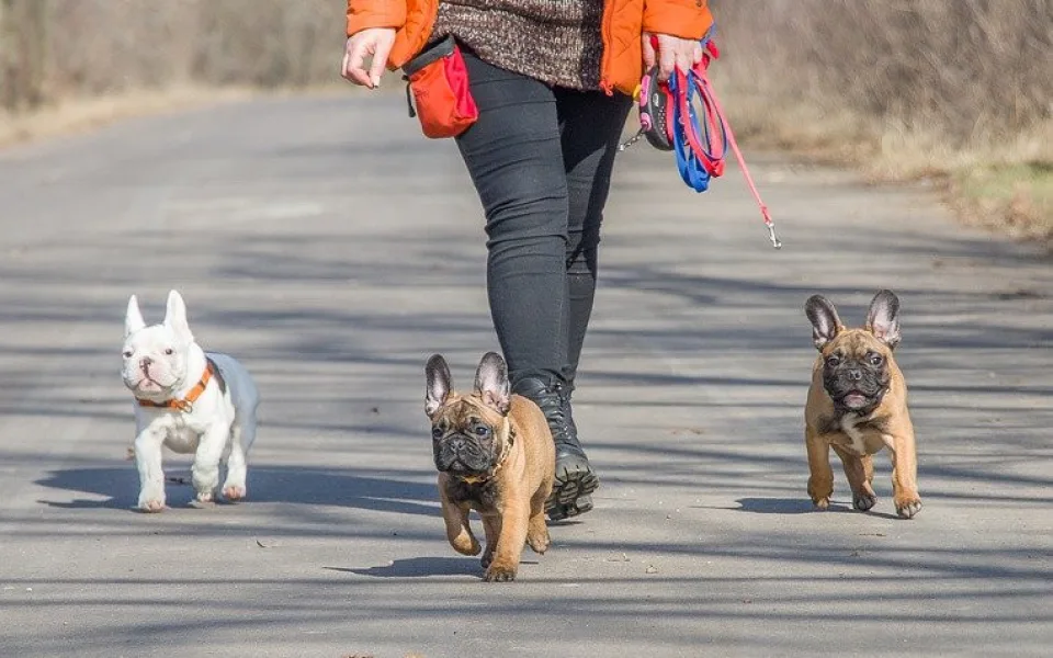 Ilustrační foto