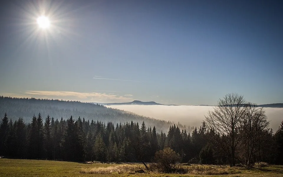Soud odmítl žalobu Jihočeského kraje na ministerstvo životního prostředí a NP Šumava