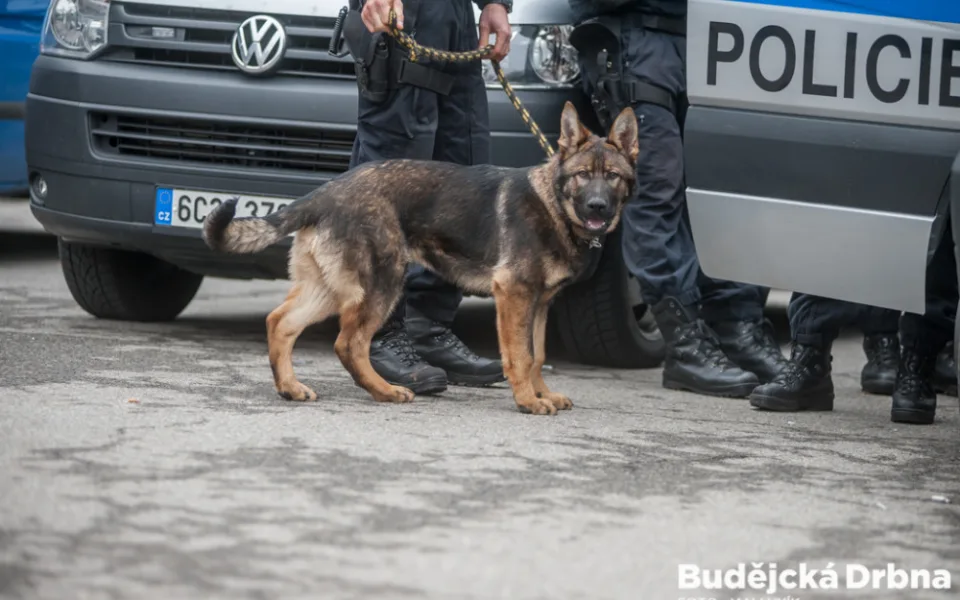 Ilustrační foto