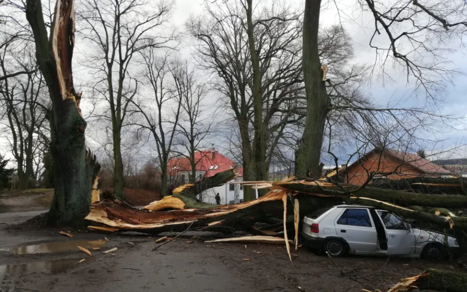 Lidé začínají sčítat škody způsobené vichřicí Sabine, jdou do desítek milionůn korun