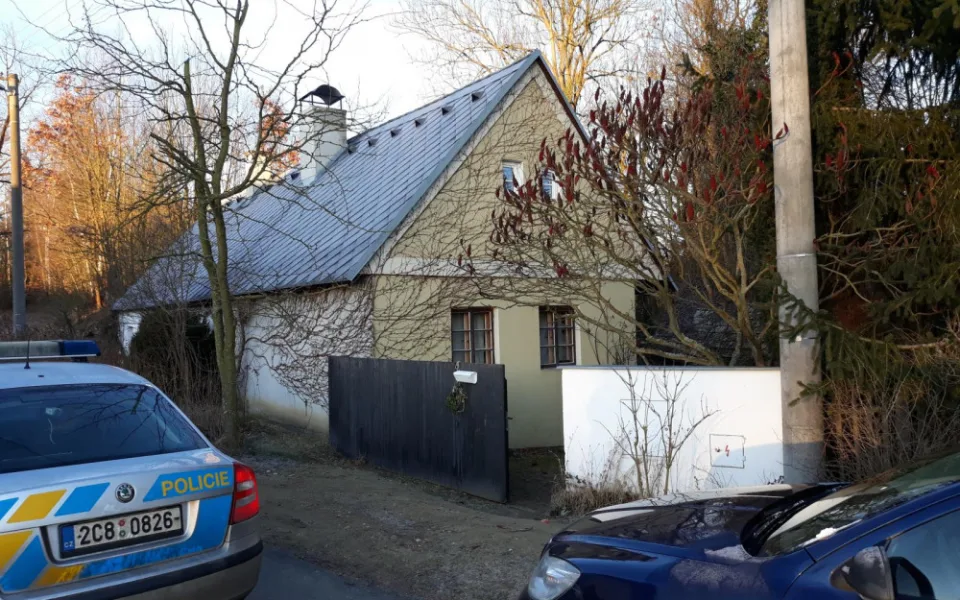 ViewImage (36)