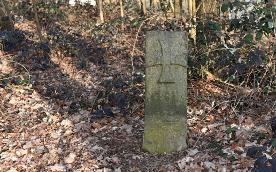 Upoutávka
