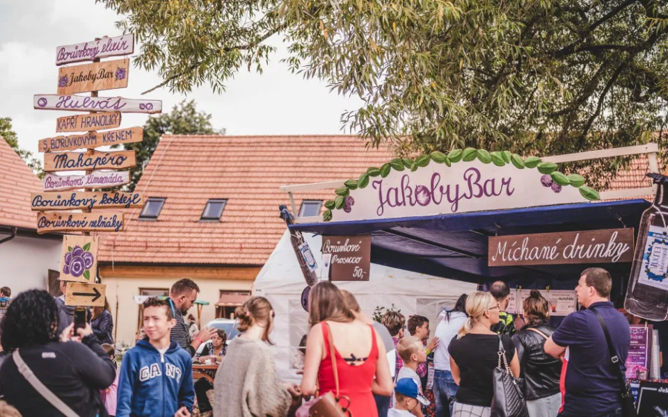 Borovanské Borůvkobraní se přesouvá na příští rok