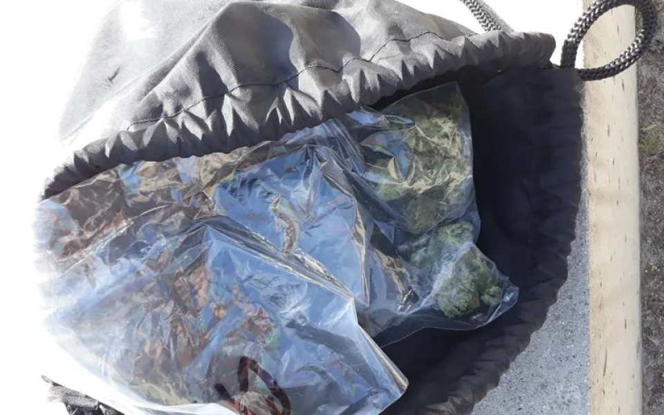 Drogy schované v klíčence i batohu vyčmuchal služební pes, osádku auta si převzali policisté