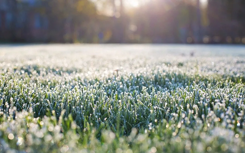 V noci v Česku mrzlo, u šumavské Kvildy bylo minus 10,1 stupně