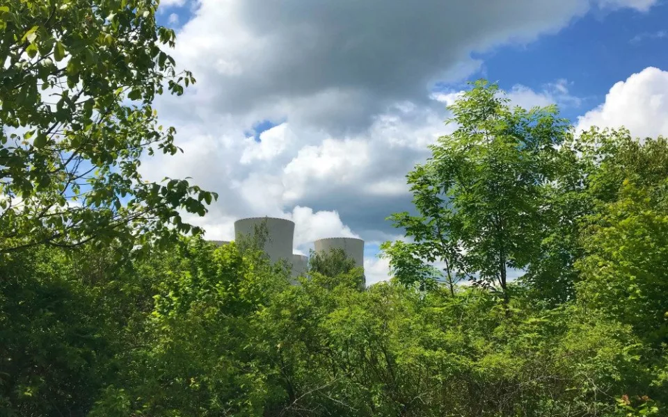 Z černé skládky vznikl u Temelína lesní park