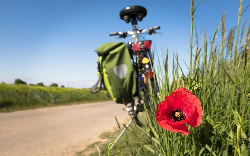 Letošní preference českých turistů budou jiné, ukázal průzkum VŠTE