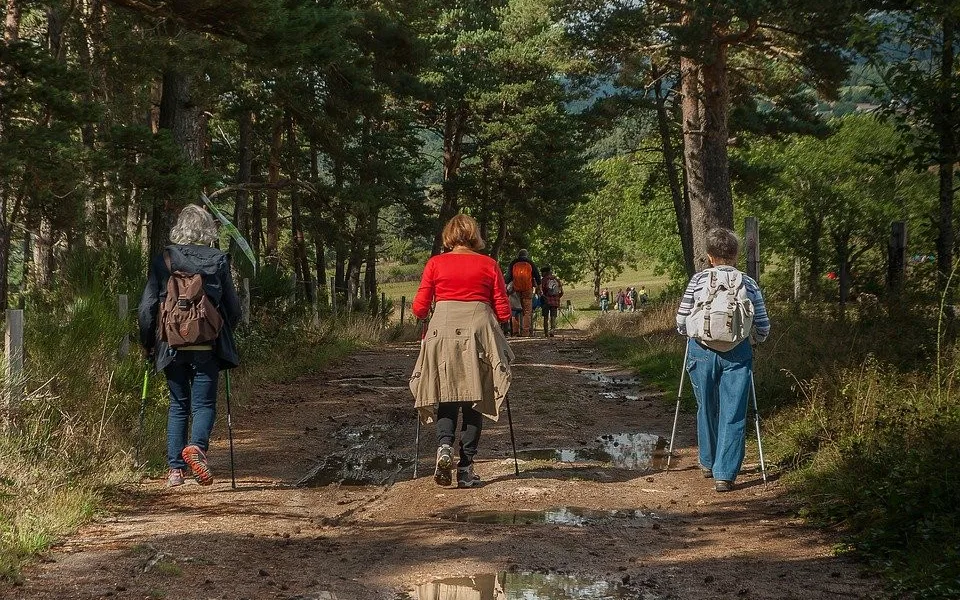 Na dovolenou v Česku se chystá 79 procent Čechů. Mezi nejvyhledávanějšími kraji je jih Čech