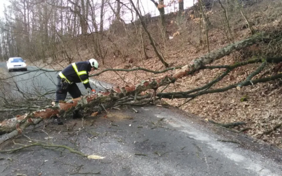 Kvůli bouřce zasahovali hasiči u padesáti událostí. Nejvíce na Táborsku