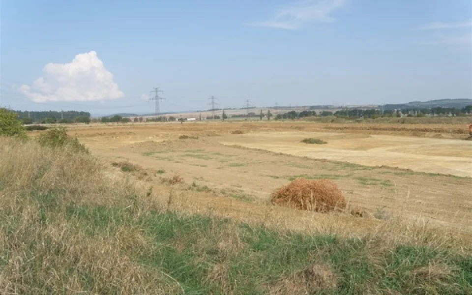 Pokuta