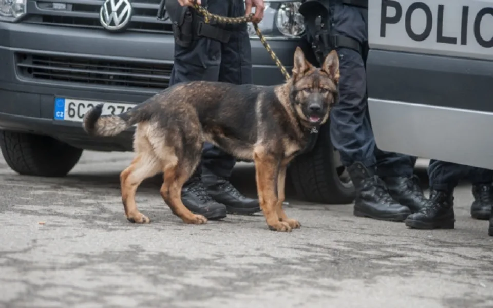 ilustrační foto.