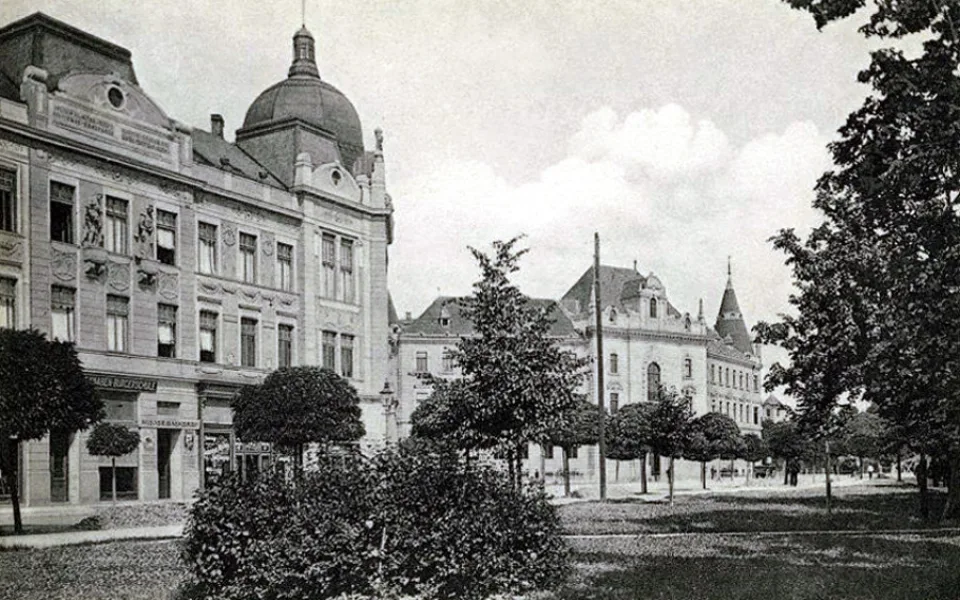 DRBNA HISTORIČKA: