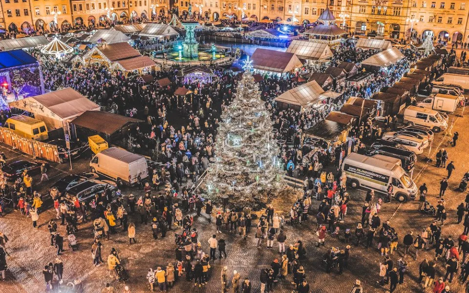 Vánoční strom bude letos z Nemanic. Na náměstí se usadí v půlce listopadu