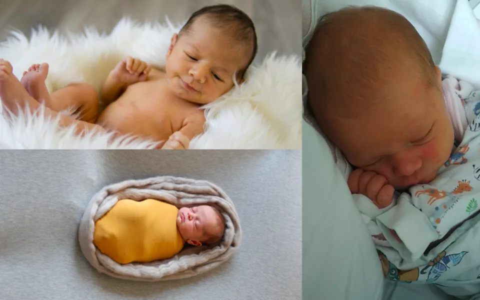 SOUTĚŽ: Hlasujte pro drbňátko října