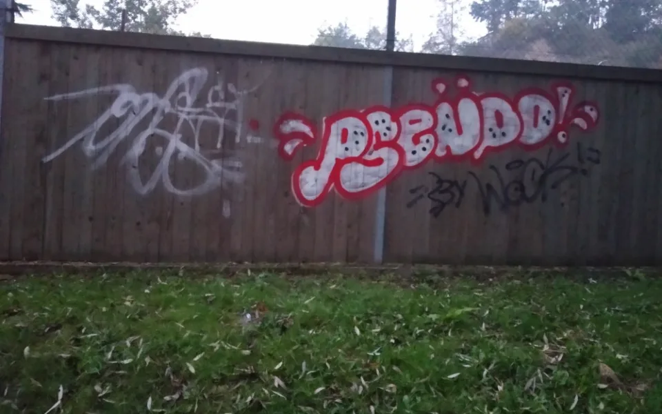 Zeď útulku posprejoval neznámý vandal. Dobrovolník malbu překreslil