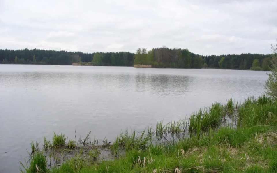 Třeboňští zastupitelé odmítli prodej dvou rybníků v majetku města.