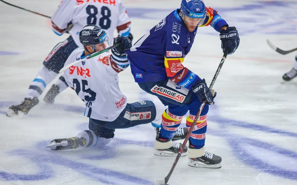 Švédský hokejista Pavel předčasně končí v Českých Budějovicích