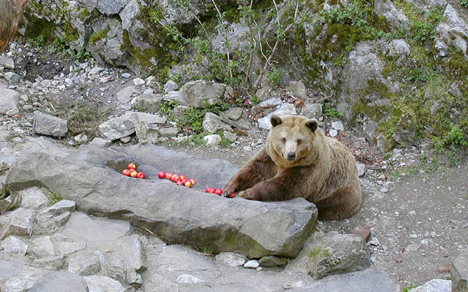ilustrační foto.