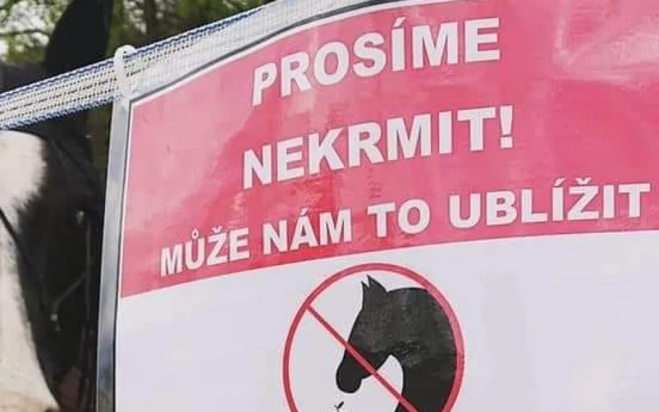 ilustrační foto.