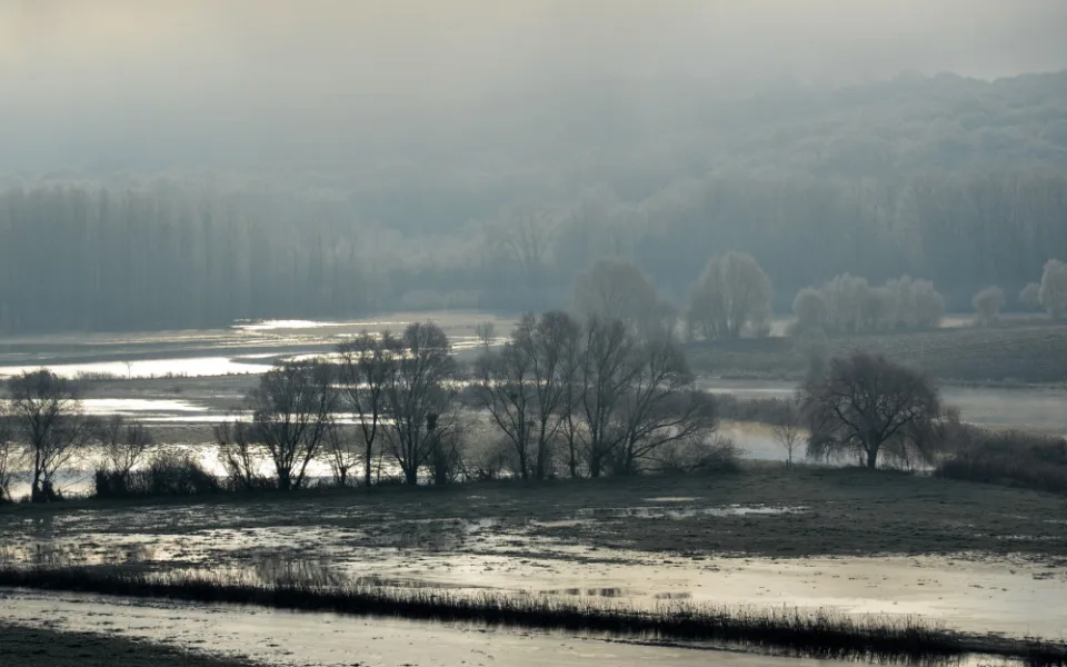 ilustrační foto.