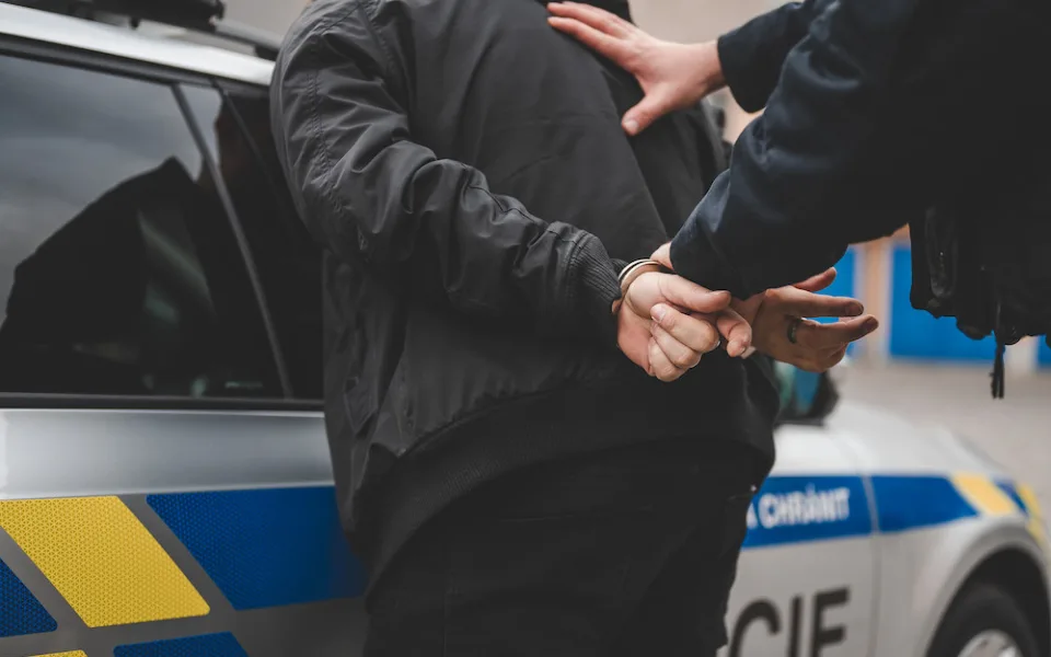 Čtyřiadvacetiletý opilý řidič málem srazil chodce, naboural do stromu a utíkal policii