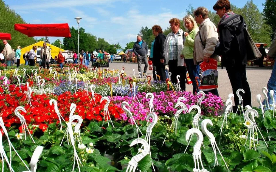 Záhrádkáři a kutilové se letos Hobby nedočkají. Agrosalon se zatím stále připravuje
