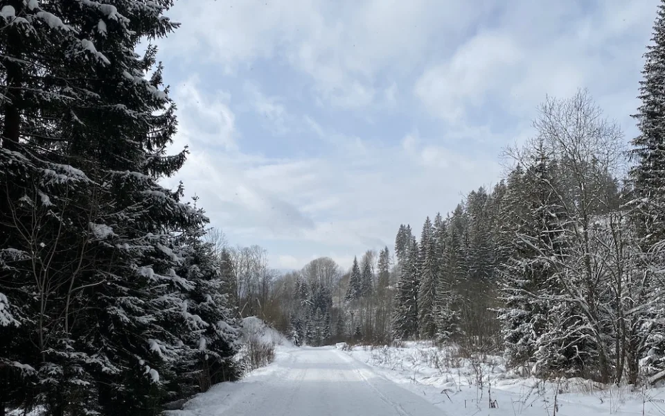 Na šumavských vrcholcích je nejvíc sněhu z celé zimy. Dlouho ale nevydrží, přijít má obleva