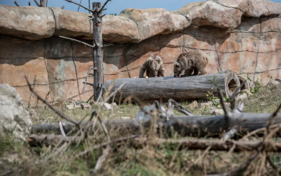 Zoologické zahrady na jihu Čech se chystají na otevření. V Táboře otevřou hned v pondělí