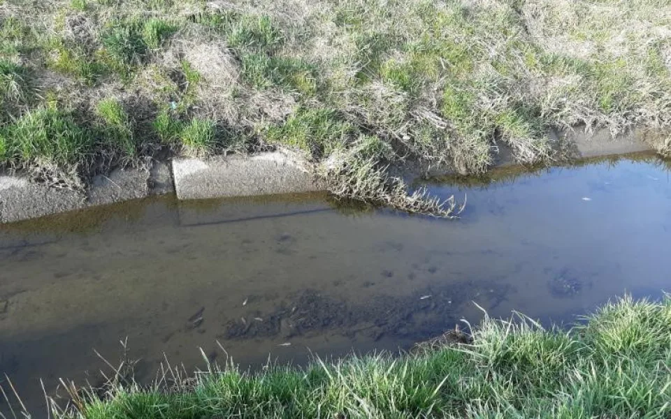 Desítky ryb na Jindřichohradecku otrávil saponát z mytí auta