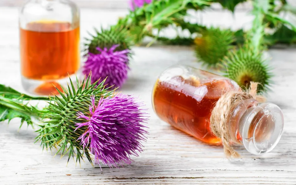 Detoxikace organismu: Kdy se do ní pustit a jak dlouhodobě udržet tělo bez škodlivých látek