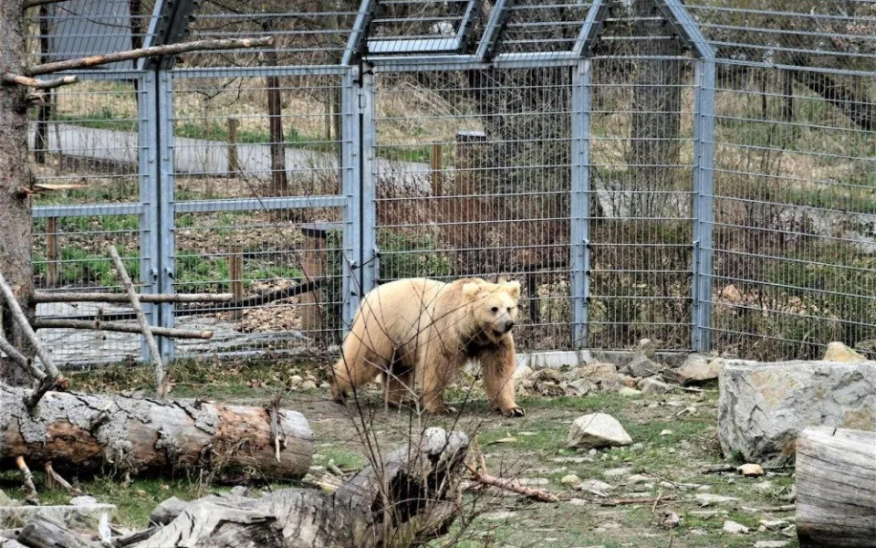 Jihočeská zoologická zahrada v Hluboké nad Vltavou má opět otevřeno