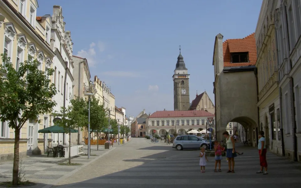 Kvůli kácení stromů ve Slavonicích bude na podzim referendum