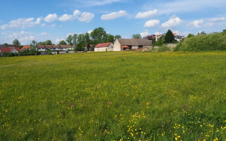 Stát chce prodat usedlost, která patřila Emě Destinnové. Do aukce půjde také rekreační areál nebo most