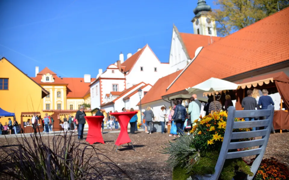 Slavnostní otevření Zahrady květů v borovanském klášteře je naplánováno na příští sobotu.
