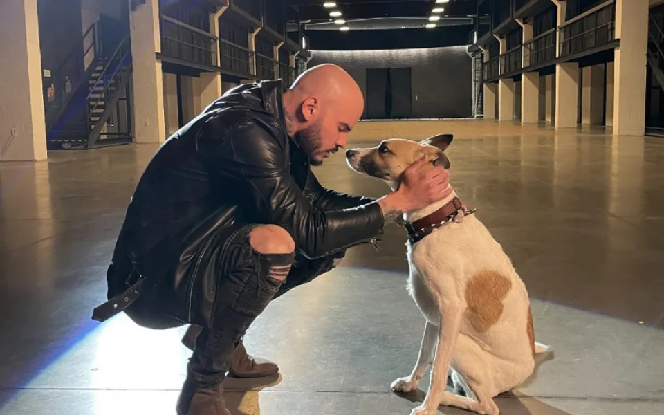 Film o psu Gumpovi, který míří příští týden do kin, představil nový videoklip.