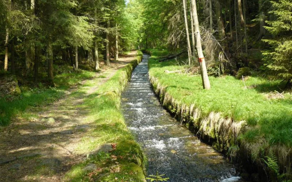 ilustrační foto.