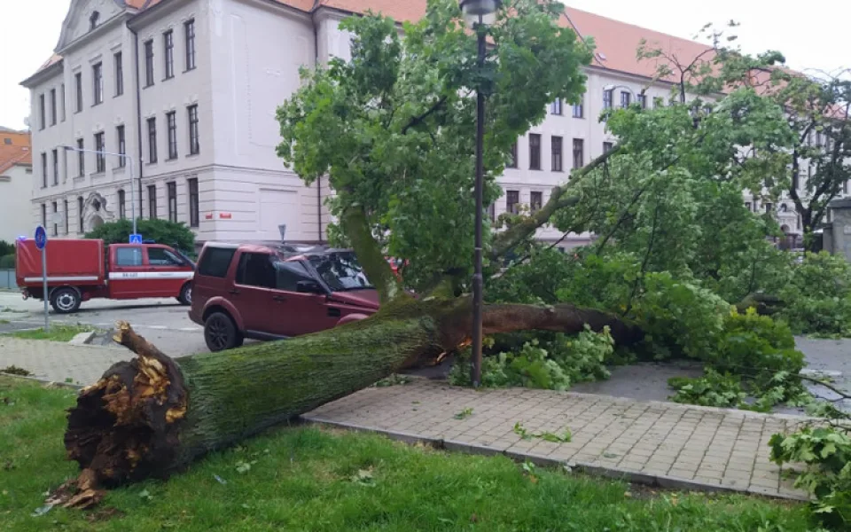 Silná bouře v Budějcích poničila dva tisíce kubíků stromů. Likvidace škod potrvá měsíc
