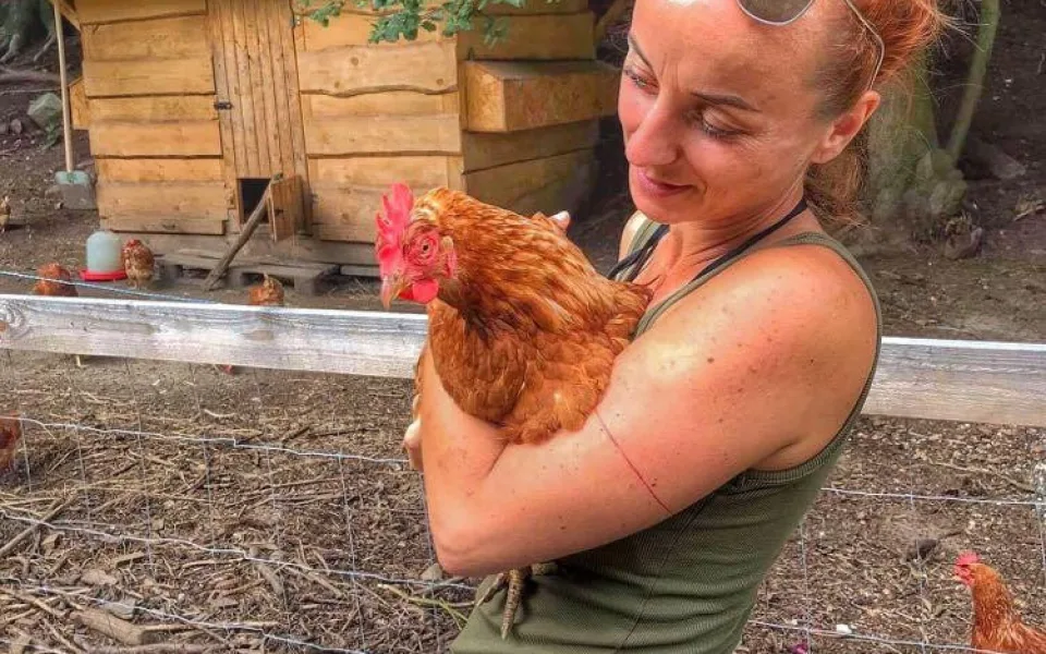 Farma Krmítko. Poznejte život odložených hospodářských zvířat