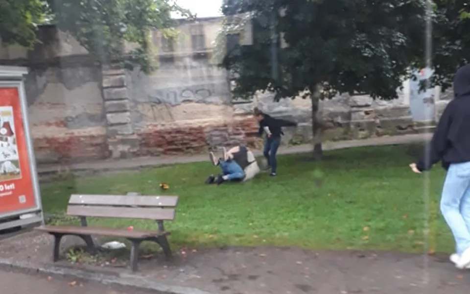 Ke rvačce dvou mladíků se přidala i dívka. Jeden z aktérů skončil v nemocnice