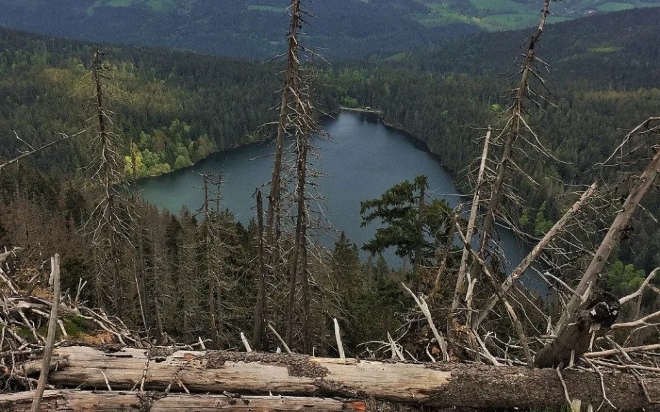 Národní park Šumava předloží ještě letos návrh, jaký bude režim v zónách
