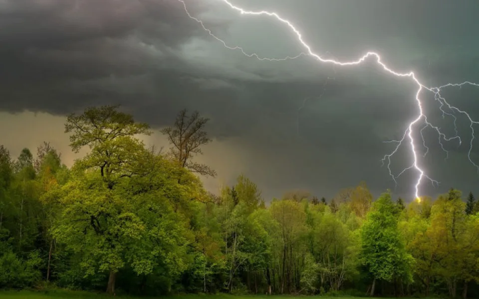 Ilustrační foto.