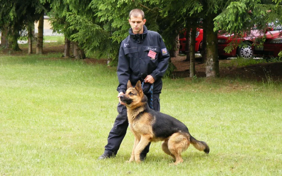 Den s Integrovaným záchranným systémem. Policie zve k lipenské přehradě