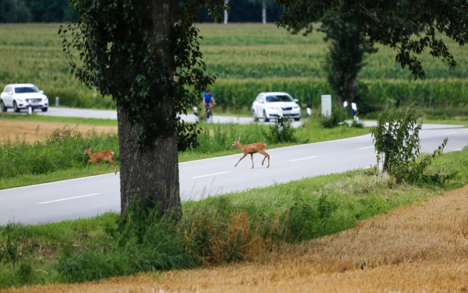 Ilustrační foto.