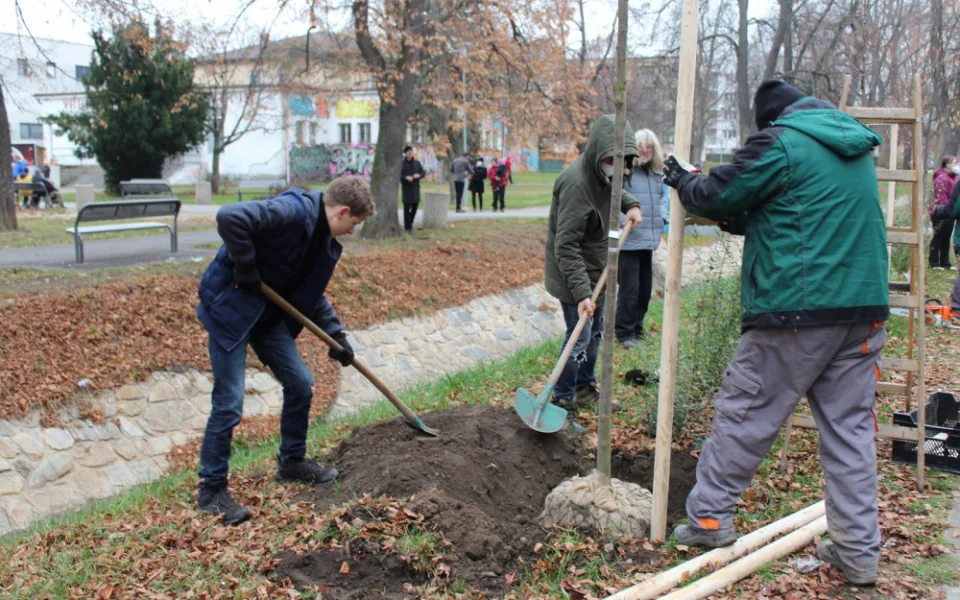 Studenti Česko-anglického gymnázia vysázeli v Suchém Vrbném deset lip