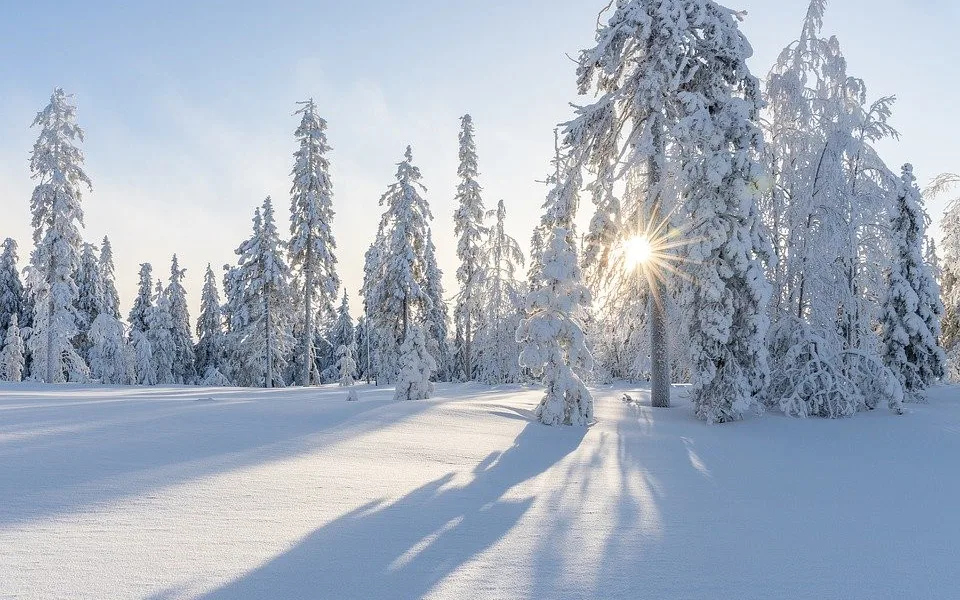 V Pohoří na Šumavě bylo ráno minus 16,8 stupně, nejméně v Česku