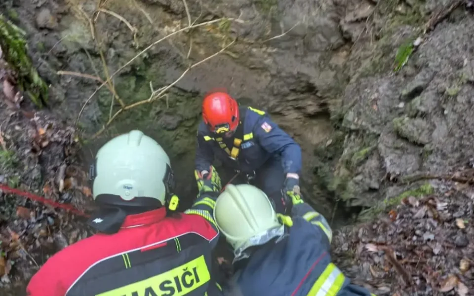 Vltavotýnští hasiči zachraňovali psa, který spadl do těžební šachty. Zvíře vytáhli pomocí postroje